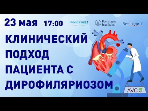 Видео: Пациент с дирофиляриозом. Клинический подход (А.Г.Комолов)