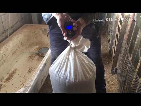 Видео: Гранулы для телят