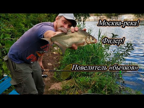 Видео: Рыбалка на Москве реке! Фидер! Атака бычков и ершей.