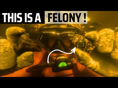 Видео: Закон Флориды, это тяжкое преступление!