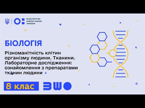 Видео: 8 клас. Біологія. Різноманітність клітин організму людини. Тканини