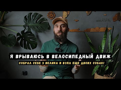 Видео: Я ЗАЛЕТАЮ В ВЕЛО ДВИЖ + 2 новых собаки из приюта!
