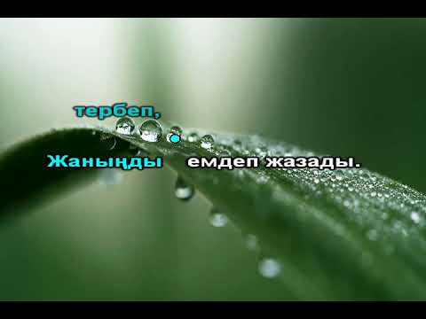 Видео: Махаббат мәңгі ертегі караоке