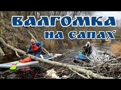 Видео: Валгомка на САПах 