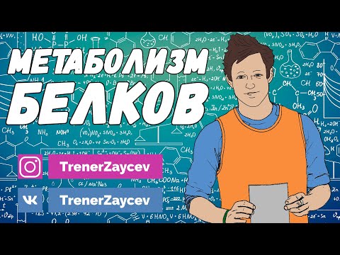 Видео: 03. Метаболизм белков