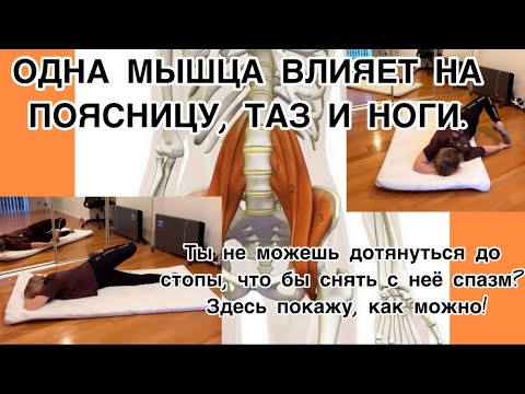 Видео: Усталость, боль в пояснице , суставах и даже ПМС-все может быть связано с этой мышцей!