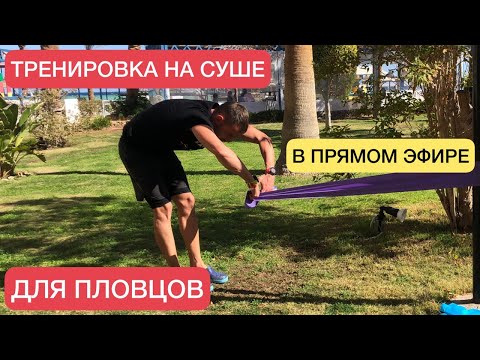 Видео: ТРЕНИРОВКА НА СУШЕ ГРЕБОК В ПЛАВАНИИ| СУХОЕ