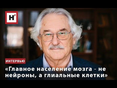 Видео: «ГЛАВНОЕ НАСЕЛЕНИЕ МОЗГА ― НЕ НЕЙРОНЫ, А ГЛИАЛЬНЫЕ КЛЕТКИ»
