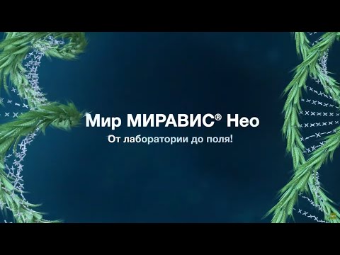 Видео: Мир МИРАВИС® Нео