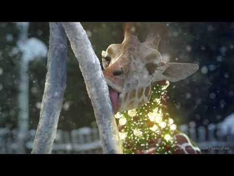 Видео: Новогодние заставки Первого канала с жирафом и белками (2020-2021) [Оригинал]