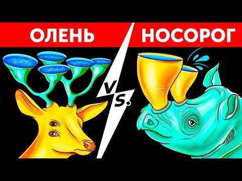 Видео: Как будут выглядеть животные на Земле через миллион лет