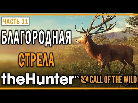 Видео: theHunter Call of the Wild #11 🐺 - Благородная Стрела для Благородного Оленя