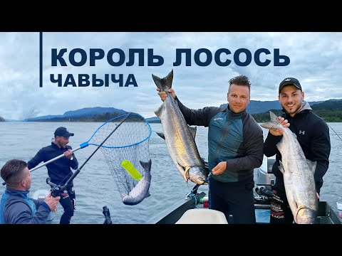 Видео: РЫБАЛКА НА КОРОЛЯ ЛОСОСЯ (ЧАВЫЧА)