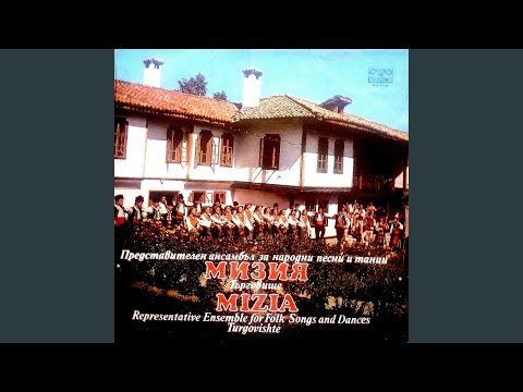 Видео: Буенек