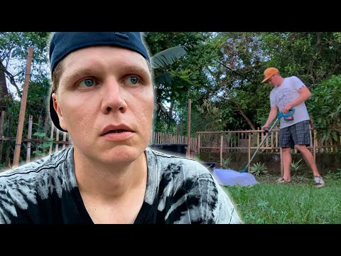 Видео: ВИДЕНИЕ ЖИЗНИ..НАШЕСТВИЕ ГУСЕНИЦ В ОГОРОДЕ..ФИЛИППИНЫ