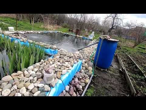 Видео: Дачные пруды, есть  хорошие новости и плохие  Обзор прудов