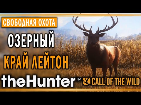 Видео: theHunter Call of the Wild #5 🐰 - Озерный Край Лейтон (часть 4) - Свободная Охота