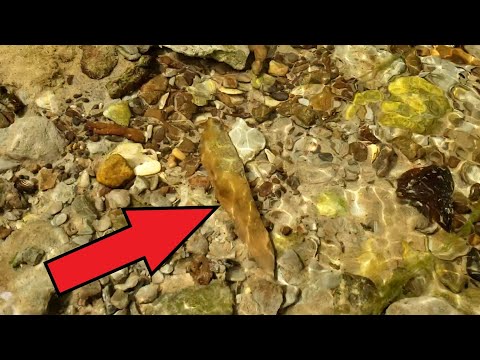 Видео: Секреты речных сокровищ