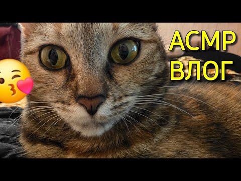Видео: Мини ВЛОГ, асмр близкий шёпот 😴 Мой день, трудовые будни asmr