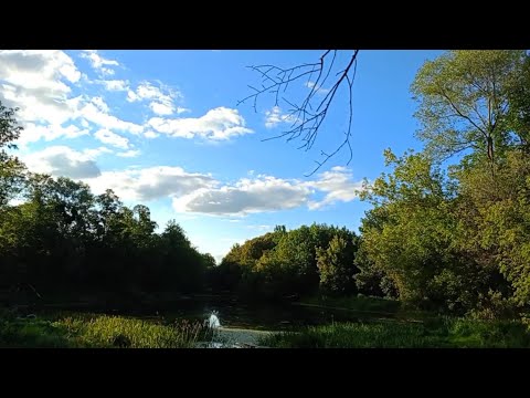 Видео: Рибалка на Сулі 15.08.25