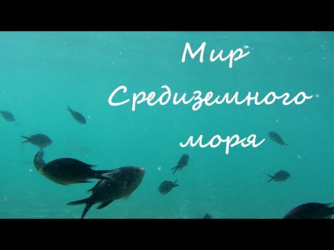 Видео: МИР СРЕДИЗЕМНОГО МОРЯ. ОТДЫХ В ТУРЦИИ. РУССКИЕ В ТУРЦИИ