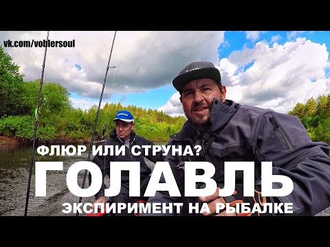 Видео: Флюр или Струна? - Эксперимент. Ловля Голавля  Летом на Воблер. Рыбалка 2018.