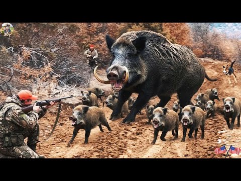 Видео: Невероятно! Охотник против кабана — драматичная битва за защиту фермы!