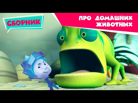 Видео: Фиксики — Домашние животные — Играем с питомцами дома вместе (Маскировка, Собака, Цыпленок) / Fixiki