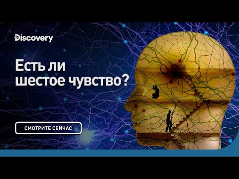 Видео: Есть ли шестое чувство? | Сквозь кротовую нору с Морганом Фрименом | Discovery