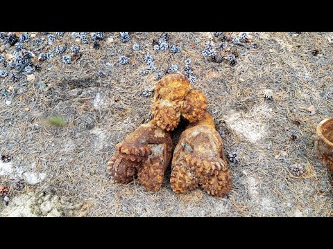 Видео: МЕТАЛЛОКОП НА СТАРОЙ БУРОВОЙ!