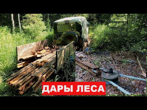 Видео: Непрошенные гости. Железные "дары" леса-просто не даются. ТОННА РЕЛЬС и ни какого мошенничества.