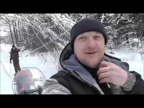 Видео: Промысел куницы,проверка капканов 16 02 2018