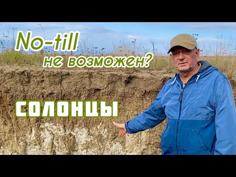 Видео: No-till на солонцах невозможен?