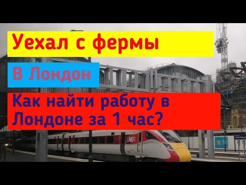 Видео: Работа в Лондоне за один час. Зря поехал на ферму!