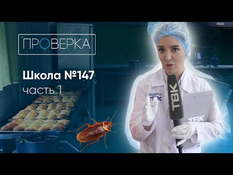 Видео: «Проверка»: школа №147 на Мате Залки в Красноярске