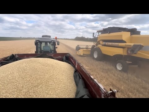 Видео: Підсумки посушливого 2025 року