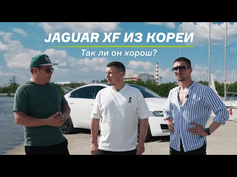 Видео: Jaguar XF из Кореи. Так ли он хорош? Обзор недооцененного автомобиля