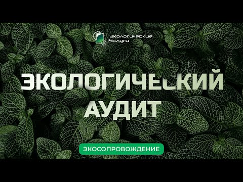 Видео: Экологический аудит: все, что нужно знать