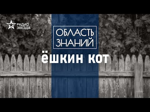 Видео: Русская брань - гордость, особенность или фишка? Лекция лингвиста Марии Ровинской