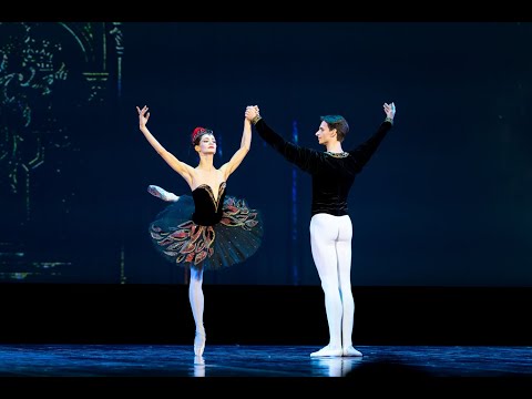 Видео: ЛЕБЕДИНОЕ ОЗЕРО. Оксана Кардаш и Иван Михалёв