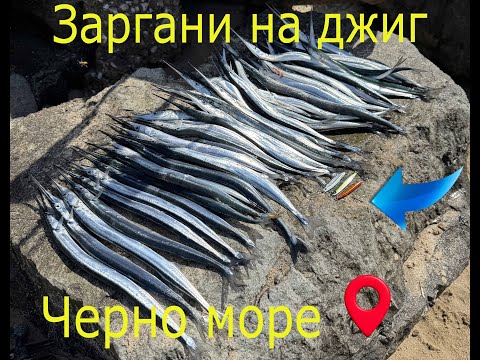 Видео: Разбиващ първи риболов на зарган с джиг