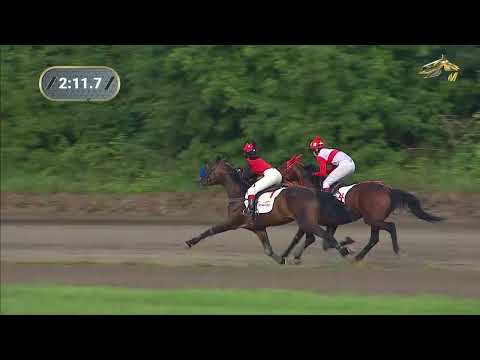 Видео: 10-й Заезд. ПРИЗ СПОРТИВНЫЙ (рысью под седлом). Барнаульский ипподром 03.09.2023