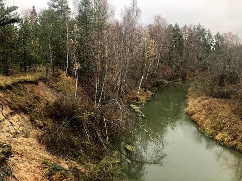 Видео: Сплав по реке Шерна. День второй.