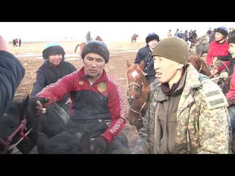 Видео: Көкпар Талғат Екпінді