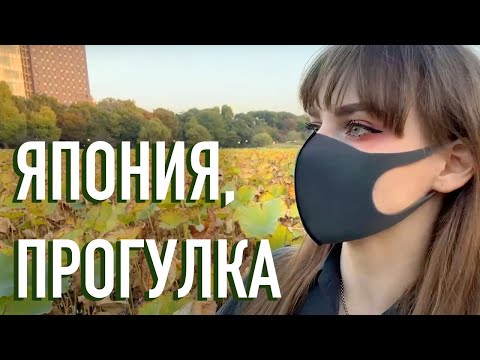 Видео: 🇯🇵 Акихабара | Парк Уэно【JAPAN STREAM】2023