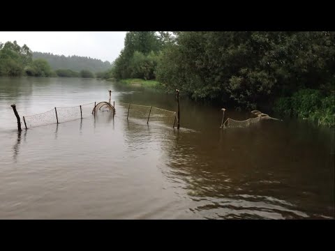 Видео: УСТАНОВИЛ ЖАКИ В РЕКУ!