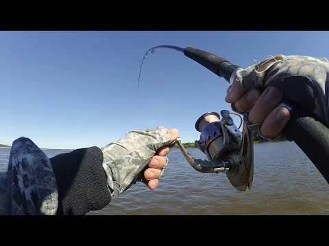 Видео: РЫБАЛКА В ТОМСКОЙ ОБЛАСТИ . КЛЮЕТ НА КАЖДОМ ЗАБРОСЕ .