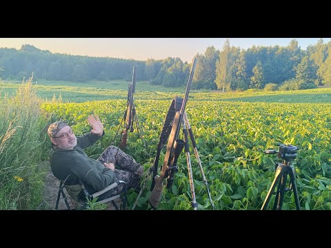 Видео: Охота на косулю с манком.