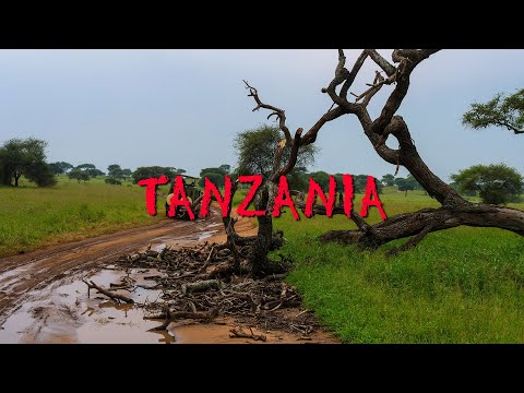 Видео: Танзания. Занзибар.