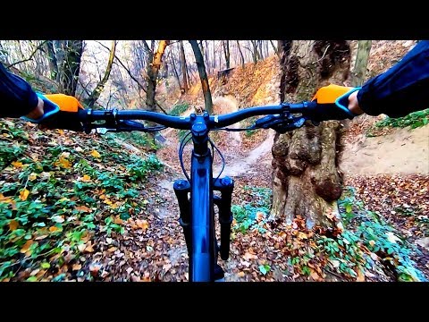 Видео: ОБЗОР ВЕЛОСИПЕДНЫХ ТРАСС НА ДОРОГОЖИЧАХ и GPS ТРЕКИ! Трэйл и Эндуро